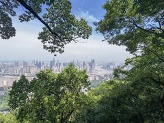 -南山植物园