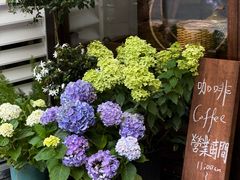 -concerto协奏曲咖啡店