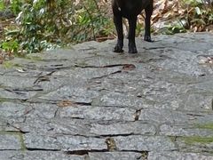 -白云源风景区