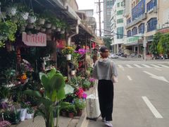 -溪岸路花鸟市场