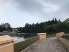 -东平国家森林公园