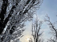 -中旅松花湖滑雪场