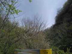 -牛背梁国家森林公园