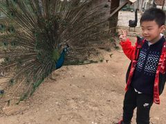 -武汉紫薇都市田园