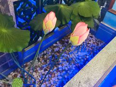 -醉湘厨艺(才华街店)