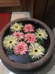 -琦品高端美容SPA私佳美场