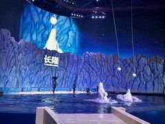 -珠海长隆海洋王国