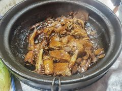 -百家春好德来姜母鸭