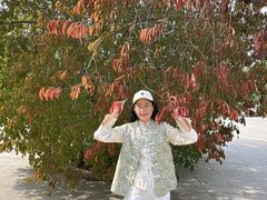 -黑龙江省森林植物园