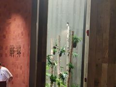 -蘑界·野生菌火锅(深业上城店)