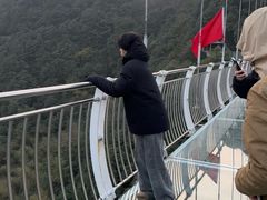 -四明山国家森林公园