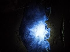 -麦度量贩式KTV(中联广场店)