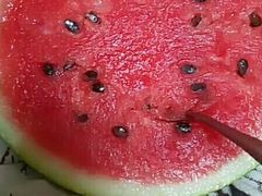 -乐乐鲜果水果超市(河北店)