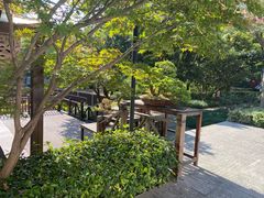 -陈家山荷花公园