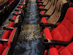 -飞扬影城(正佳IMAX店)