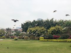 -白鹭洲公园