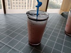 -这儿没有猫·猫咖萌宠馆·撸猫