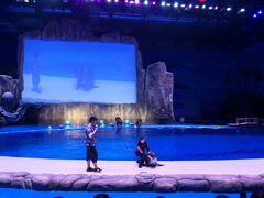 -华夏文旅海洋公园