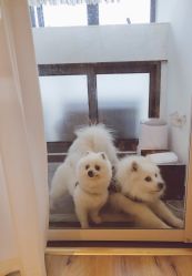 -MZ SKIN CARE逆齢驻颜中心