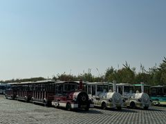 -泗洪洪泽湖湿地景区