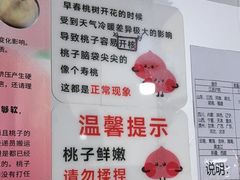 -老袁家蜜桃农场·阳山水蜜桃