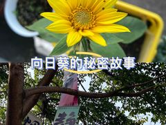 -蘭亭·新都汇