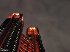 -东京都厅舍