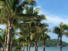 -富国岛翡翠湾 JW 万豪度假酒店