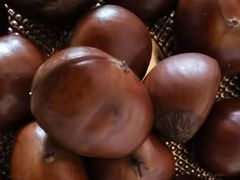 -小宝栗子(嘉华国际商业中心店)