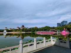-莲花池公园
