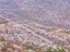 -北京凤凰岭
