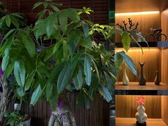 -臻享养生·SPA·影院式足道(汇臻店)
