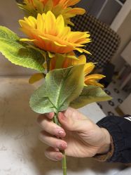 -MONICA BOX美甲美睫