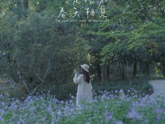 -西湖外事游船(花港观鱼码头)