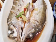 -老马家·舌尖上的西塘美食