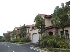 android_upload_pic-河源万绿湖美思威尔顿酒店