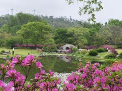 -东湖磨山景区