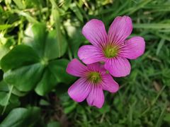 -云溪植物园