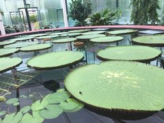 -Emerald Botanic Gardens