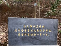 -马王堆汉墓遗址