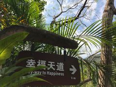 -呀诺达热带雨林