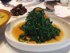 南京菊花脑-民国红公馆·秦淮八艳(夫子庙店)