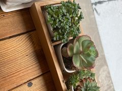 -木辛水水冰煮羊(凤城六路店)