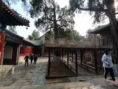 -大觉寺-停车场