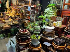 -花鸟鱼虫鲜花绿植市场(玉泉路店)