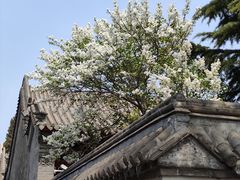 -保定直隶总督署博物馆