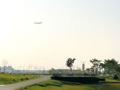 -空港花田景区