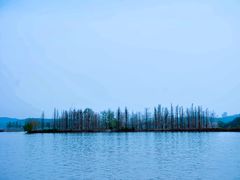 -东湖落雁景区