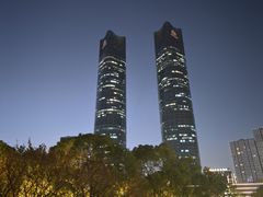 -千百味红餐厅·江西菜(绿地双子塔店)