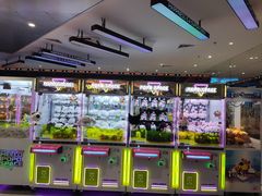 -反斗乐园π·电玩·高空拓展·蹦床(龙华天虹店)